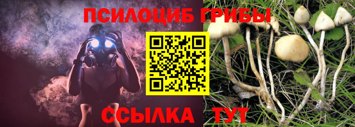 Алушта  где купить наркоту  Вход с VPN  Галлюциногенные грибы прущие грибы 
